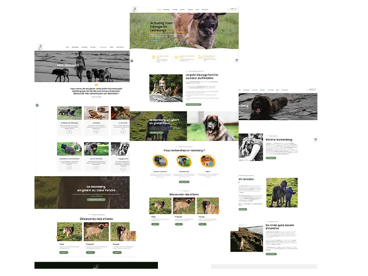 Conçu sous WordPress avec Elementor, le site web offre une navigation intuitive et un design épuré, mettant en valeur des images de haute qualité des chiens de l'élevage.