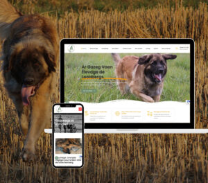 Création du site web de Ar Gazeg Vaen : Un élevage de Léonberg d’exception en Bretagne
